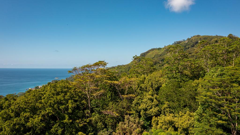 Foto 41: Sorento Sur Mer - Mahé (Seychelles)