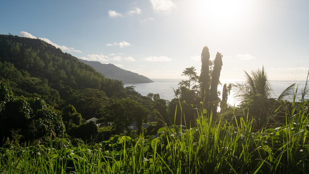 Foto 47: Sorento Sur Mer - Mahé (Seychelles)