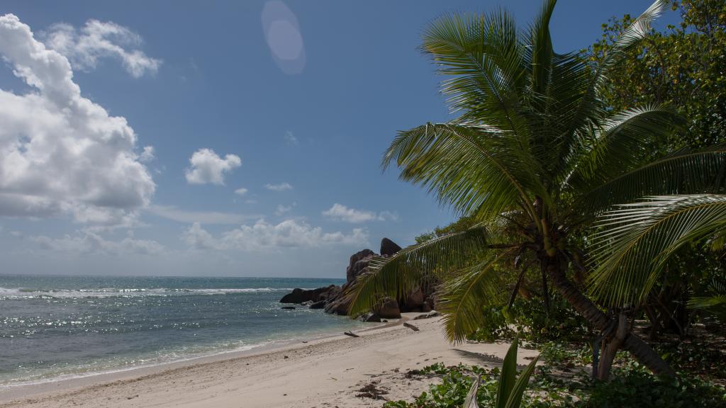 Photo 29: Villas du Voyageur - Praslin (Seychelles)