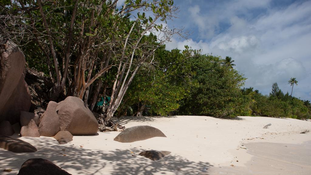 Photo 27: Villas du Voyageur - Praslin (Seychelles)