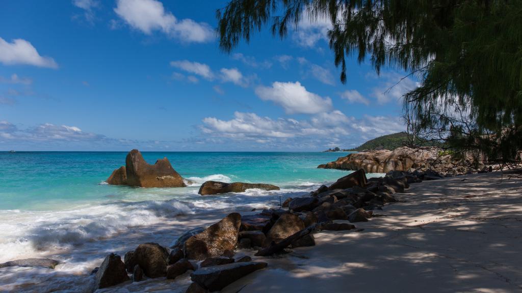 Photo 35: Villas du Voyageur - Praslin (Seychelles)