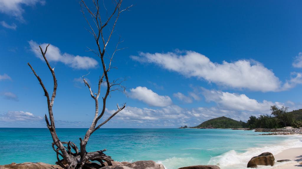 Photo 30: Villas du Voyageur - Praslin (Seychelles)