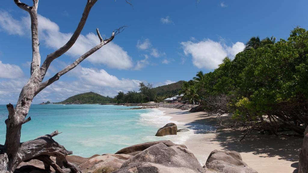 Photo 26: Villas du Voyageur - Praslin (Seychelles)