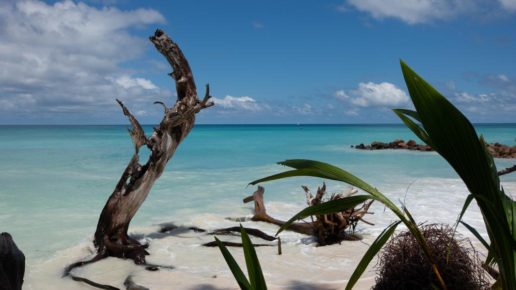 Photo 33: Villas du Voyageur - Praslin (Seychelles)