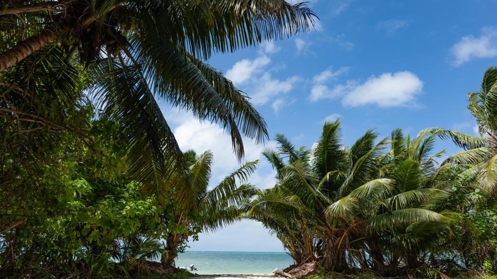 Foto 11: Blue Sky Self Catering - Praslin (Seychelles)