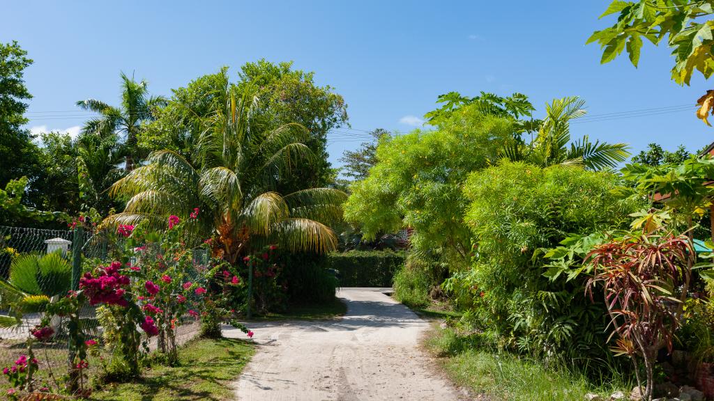 Foto 10: Blue Sky Self Catering - Praslin (Seychelles)