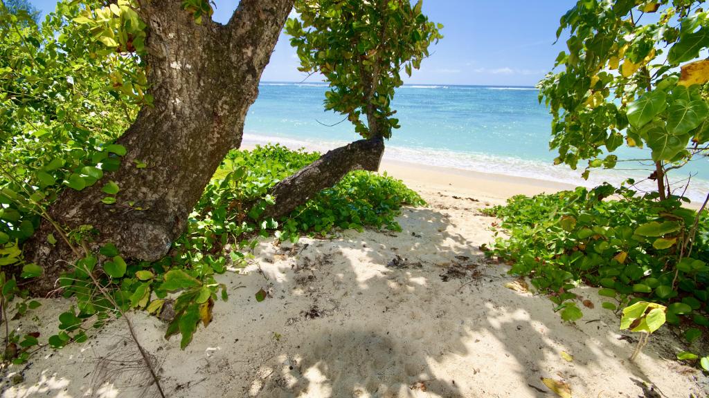 Foto 18: Bacova Sur Mer by Le Domaine de Bacova - Mahé (Seychelles)