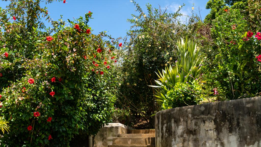 Foto 17: Maison Marikel - Mahé (Seychelles)