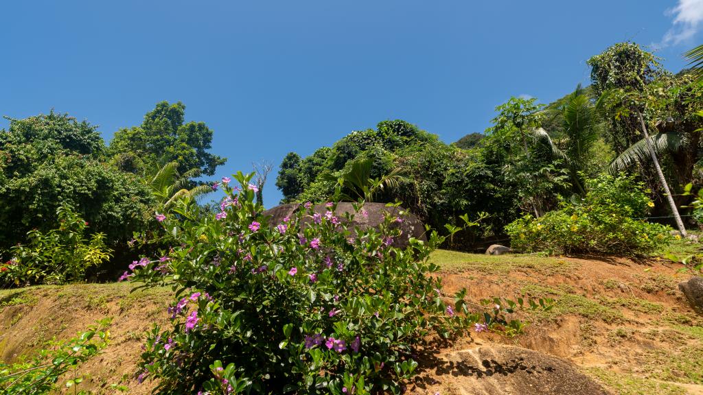 Foto 26: Maison Marikel - Mahé (Seychelles)