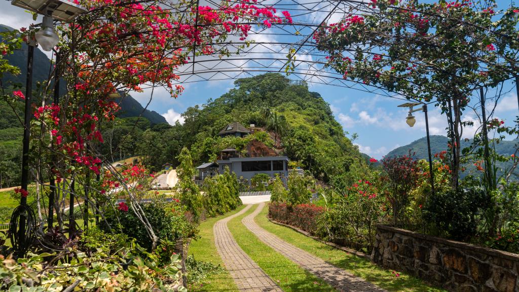 Foto 19: Blue Hill - Mahé (Seychelles)