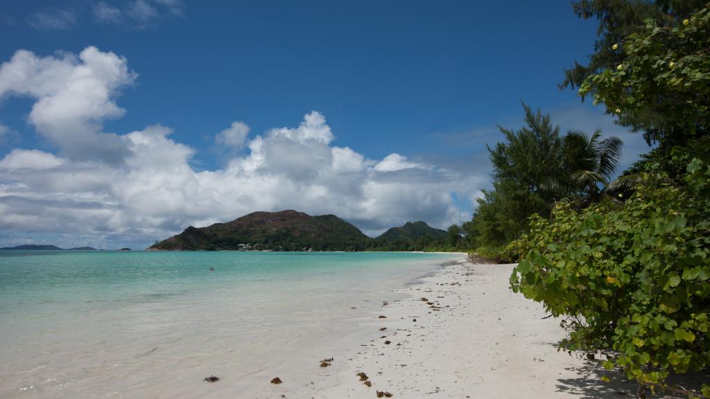 Foto 37: Les Villas D'Or - Praslin (Seychelles)