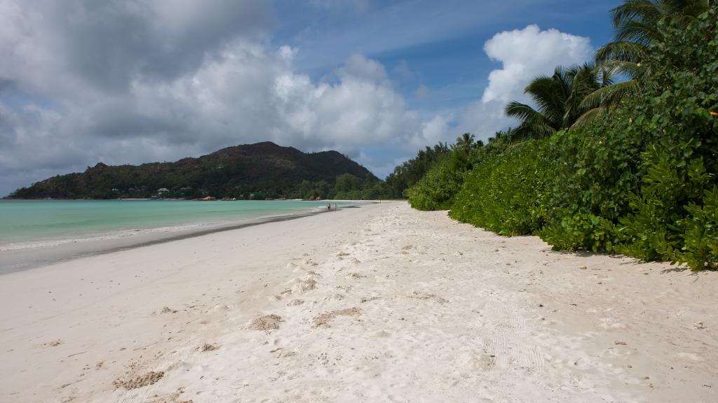 Photo 38: Les Villas D'Or - Praslin (Seychelles)