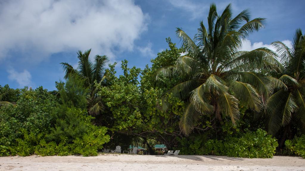 Foto 34: Les Villas D'Or - Praslin (Seychelles)