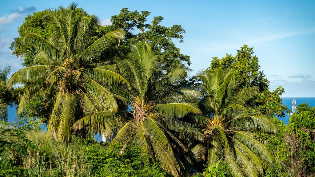 Foto 34: Hidden Valley Residence - Mahé (Seychelles)