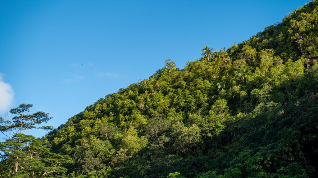 Foto 36: Hidden Valley Residence - Mahé (Seychelles)