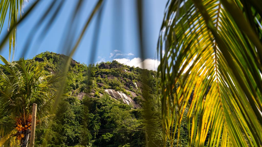 Foto 11: Effie's Mountain View Villas - Mahé (Seychelles)