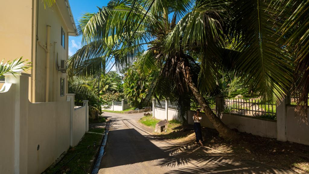 Photo 41: Cap Confort - Mahé (Seychelles)