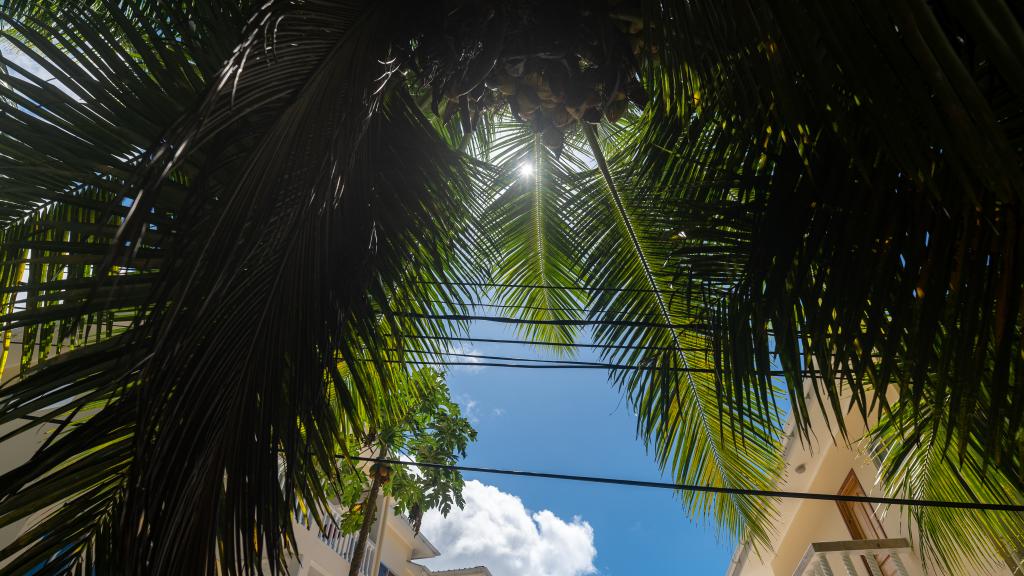 Foto 49: Cap Confort - Mahé (Seychelles)