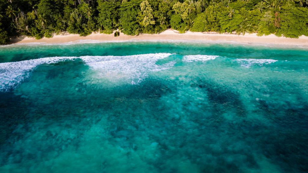 Photo 24: Jastam House - Mahé (Seychelles)