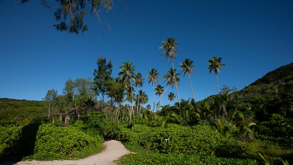 Photo 21: Mountain View Hotel - La Digue (Seychelles)