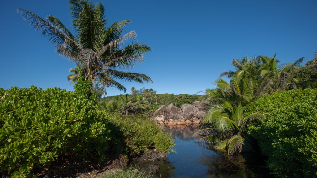 Photo 19: Mountain View Hotel - La Digue (Seychelles)