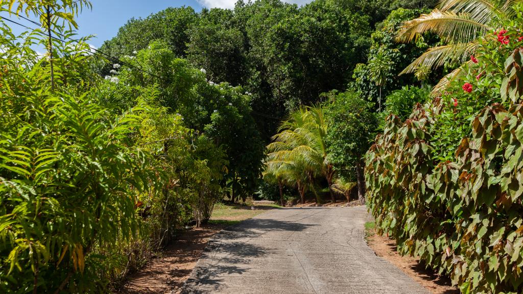 Photo 22: Mountain View Hotel - La Digue (Seychelles)