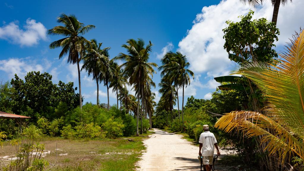 Foto 18: Bwaver Cottage - La Digue (Seychelles)