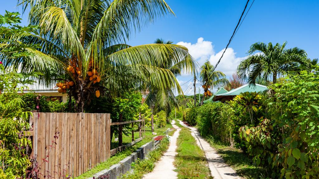 Foto 17: Bwaver Cottage - La Digue (Seychelles)