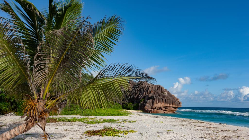 Photo 23: Anse Grosse Roche Beach Villa - La Digue (Seychelles)