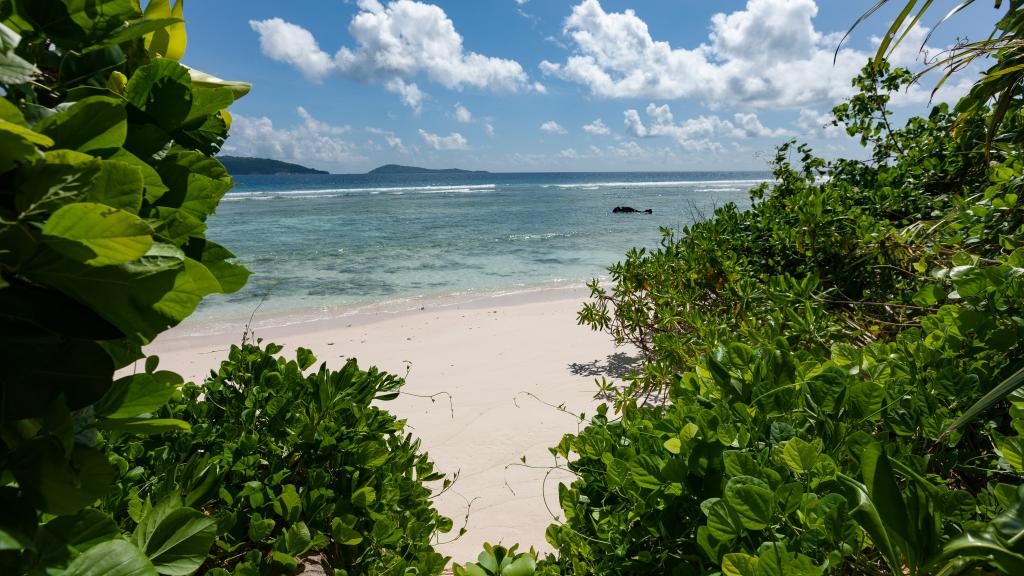 Photo 31: Anse Grosse Roche Beach Villa - La Digue (Seychelles)