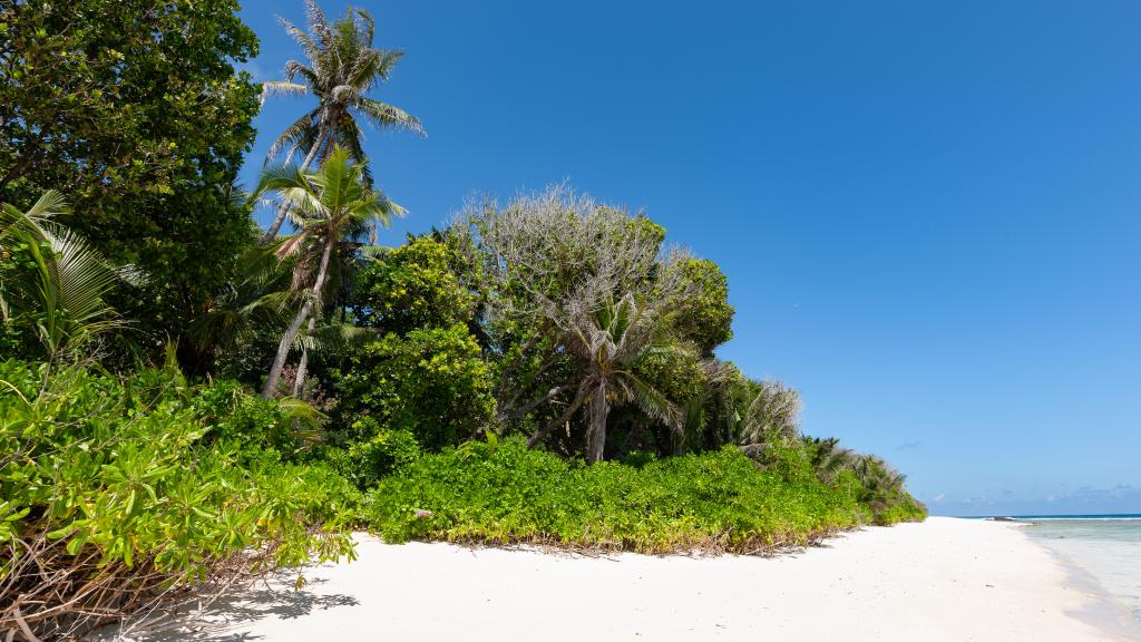 Photo 28: Anse Grosse Roche Beach Villa - La Digue (Seychelles)