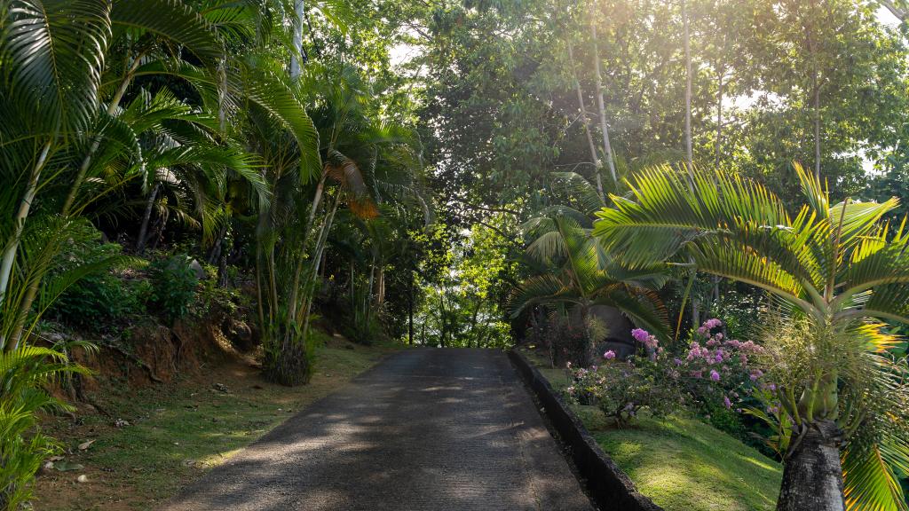 Photo 28: Bottle Palm Villa - Mahé (Seychelles)