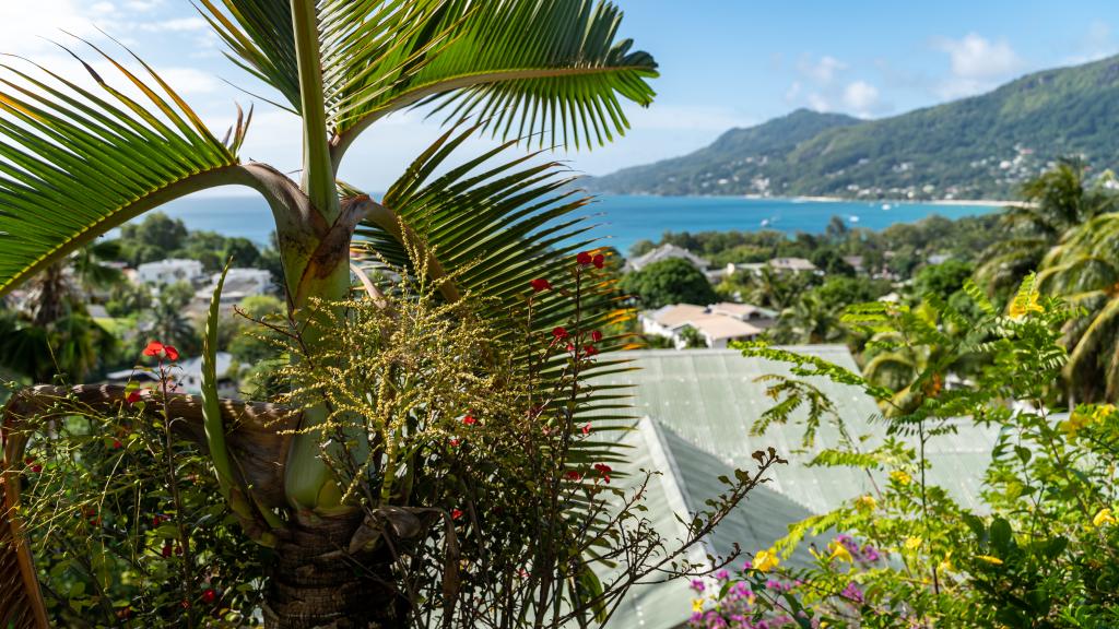 Photo 11: Bottle Palm Villa - Mahé (Seychelles)