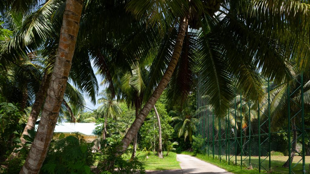 Foto 20: Anse Kerlan Beach Chalets - Praslin (Seychellen)