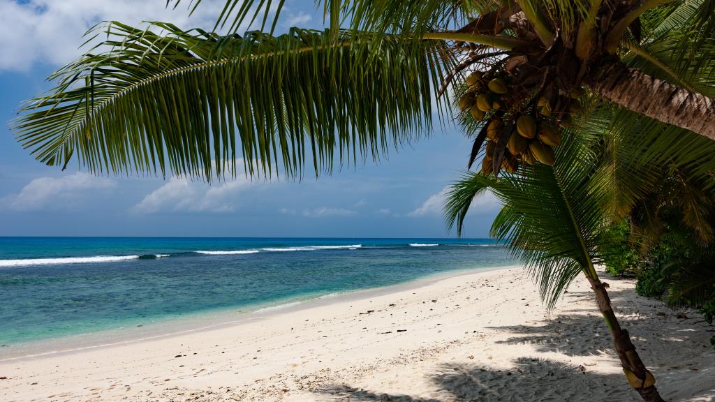 Foto 16: Anse Kerlan Beach Chalets - Praslin (Seychellen)