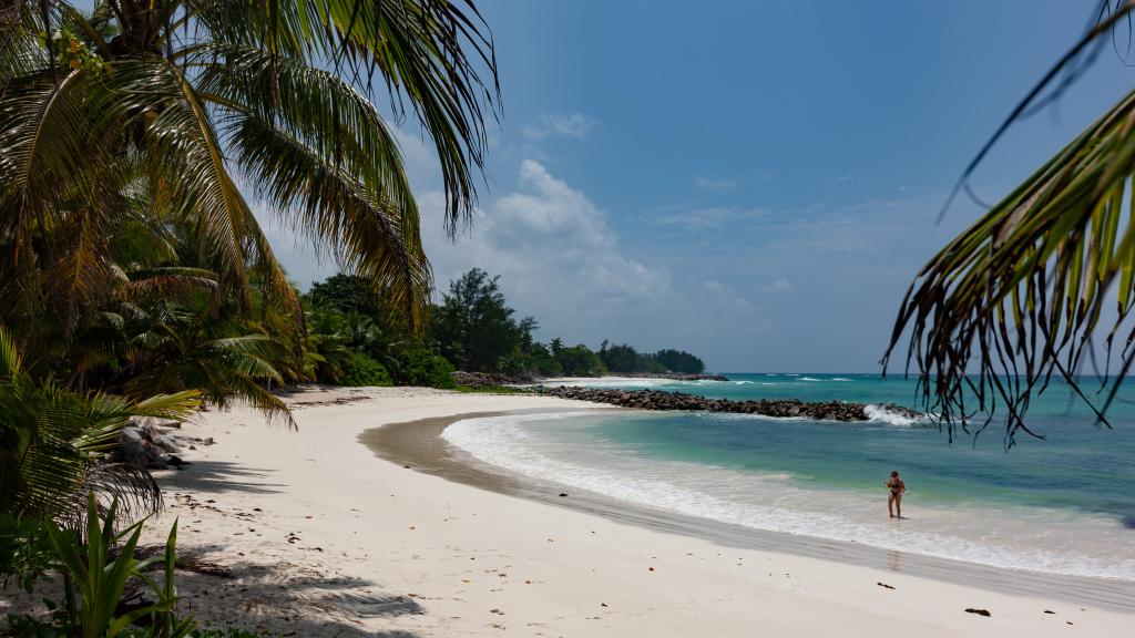 Foto 19: Anse Kerlan Beach Chalets - Praslin (Seychellen)