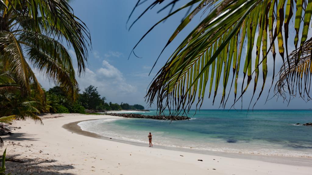 Foto 14: Anse Kerlan Beach Chalets - Praslin (Seychellen)