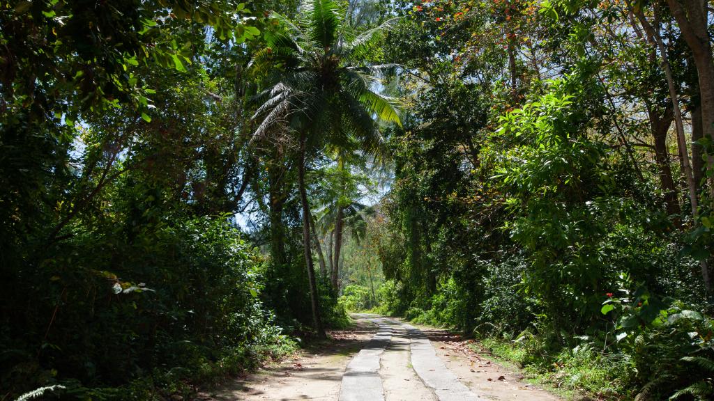 Foto 20: Maison Marie-Jeanne - Praslin (Seychelles)