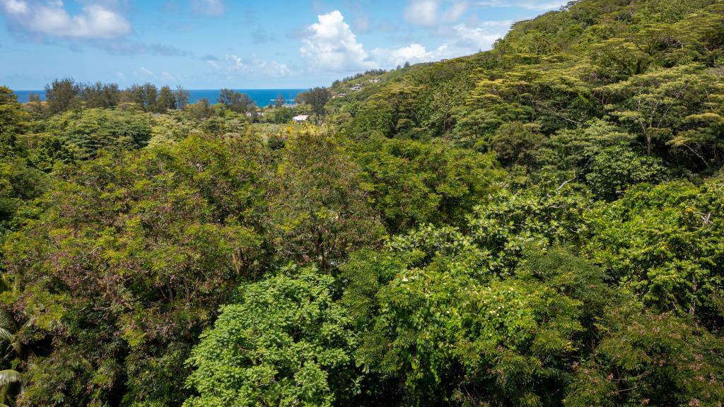 Foto 27: Takamaka Sky Villas - Mahé (Seychelles)