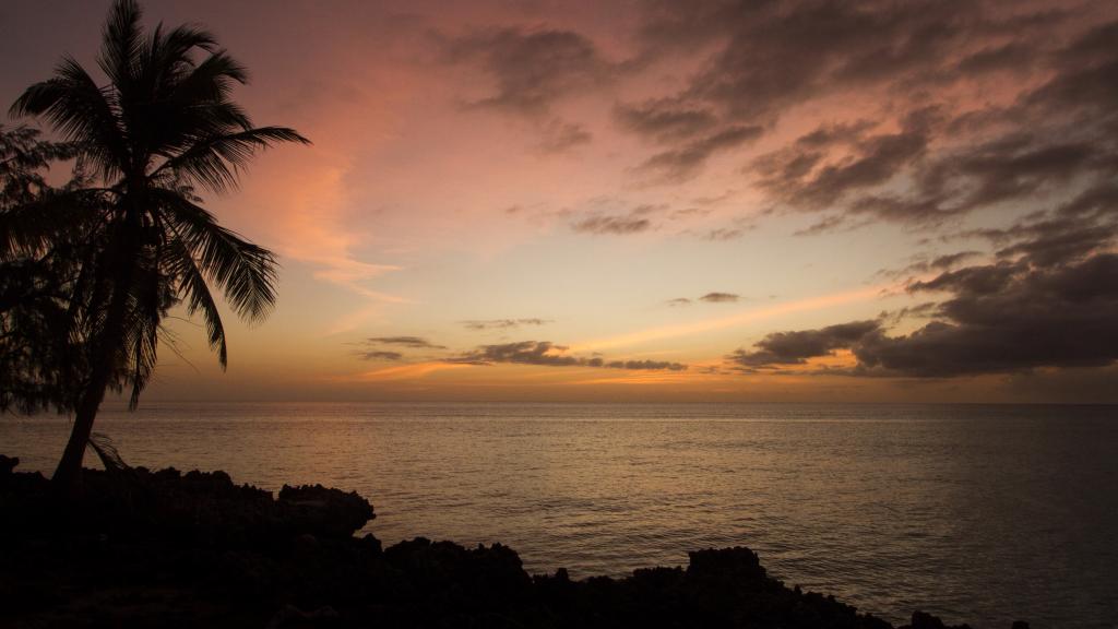 Photo 51: Silhouette Bird Watching Expedition - Seychelles (Seychelles)