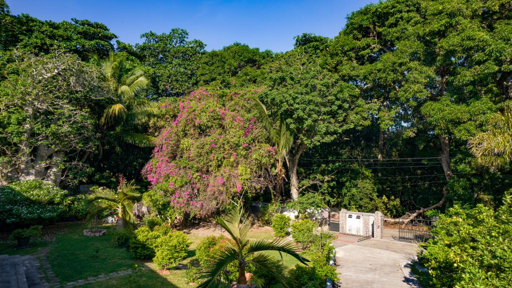 Foto 7: Pension Michel - Villa Roche Bois - La Digue (Seychelles)