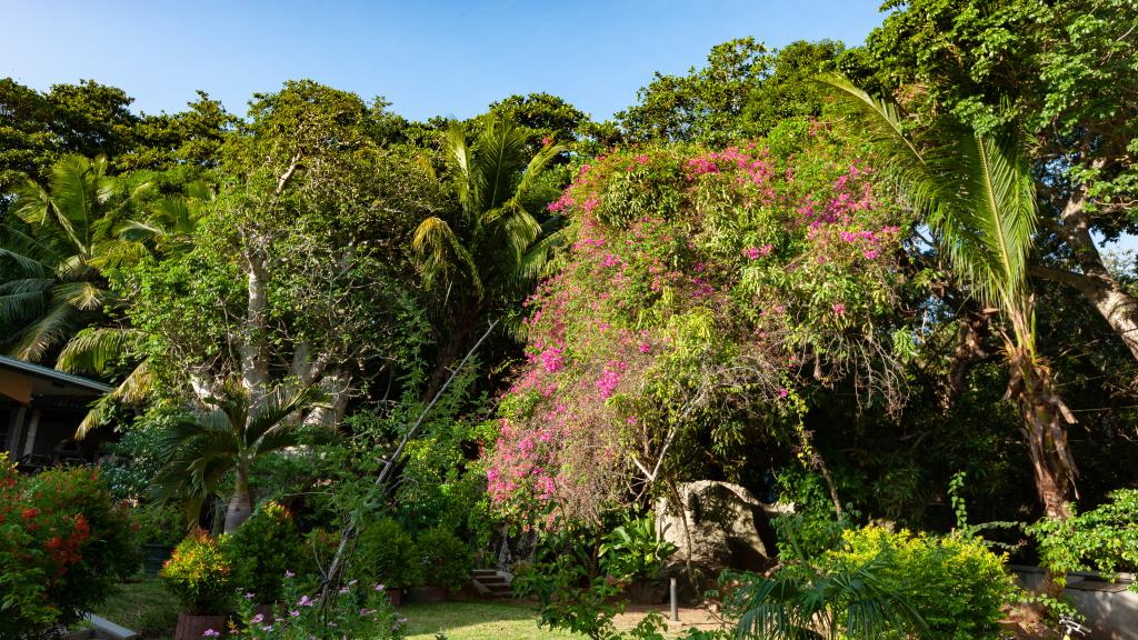 Foto 8: Pension Michel - Villa Roche Bois - La Digue (Seychellen)