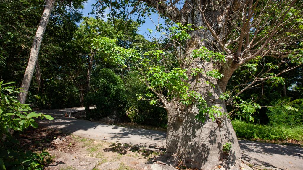 Foto 32: Pension Michel - Villa Roche Bois - La Digue (Seychelles)