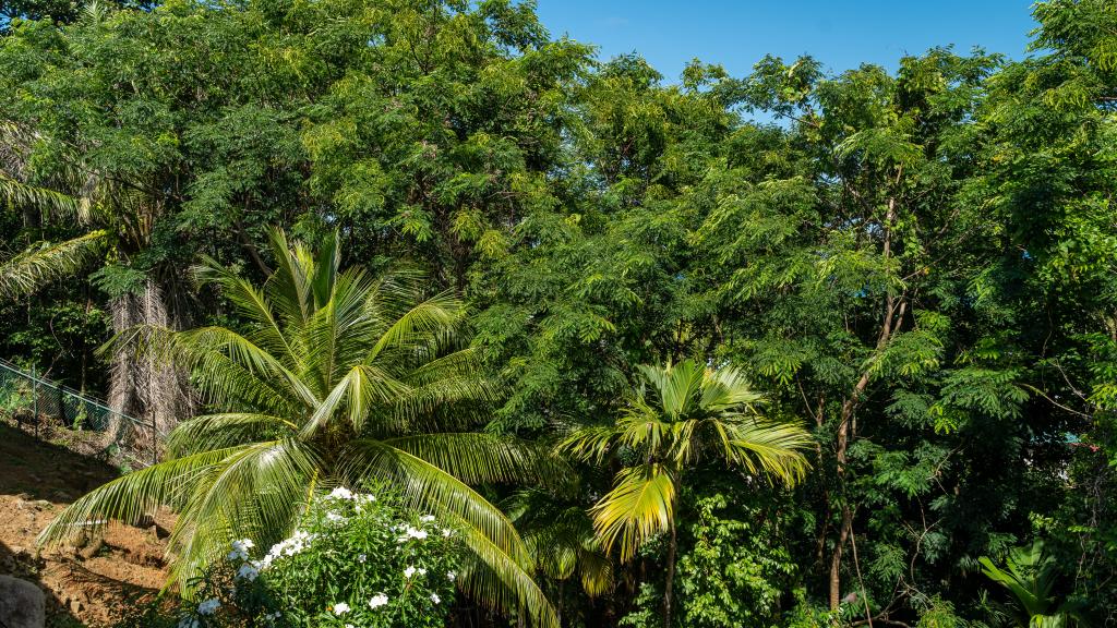 Foto 25: Villa Jasmin - Mahé (Seychellen)