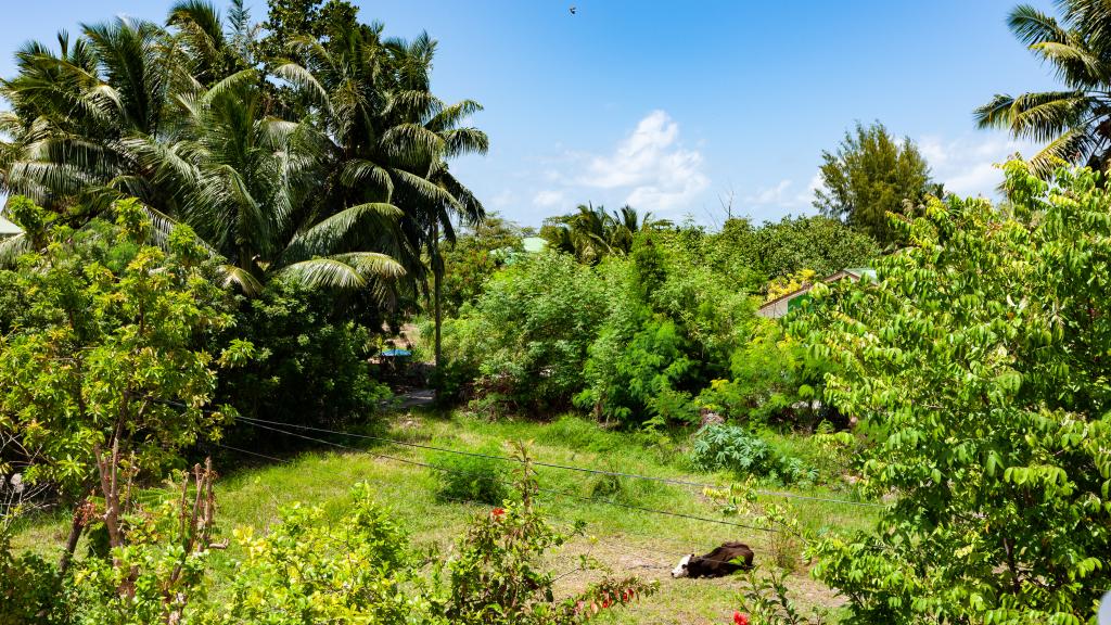 Foto 22: Casadani Luxury Guest House - Praslin (Seychelles)