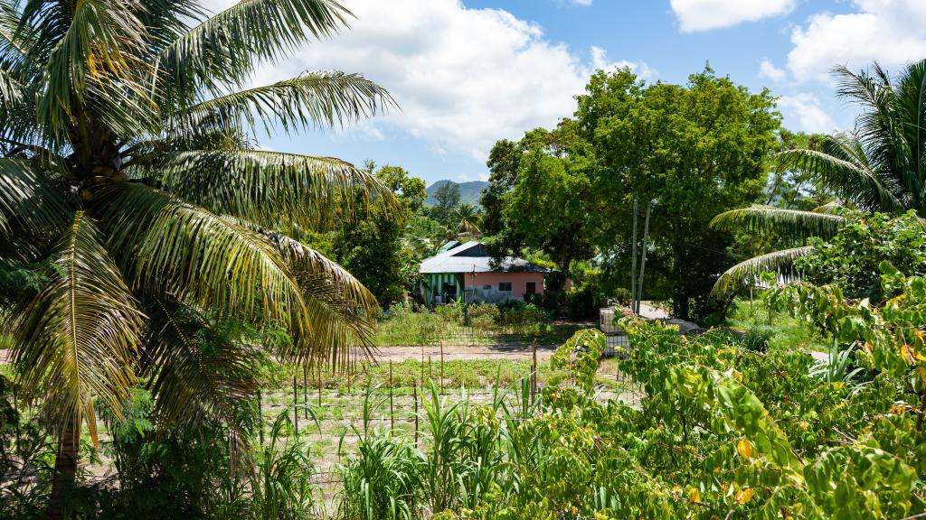 Foto 25: Casadani Luxury Guest House - Praslin (Seychelles)