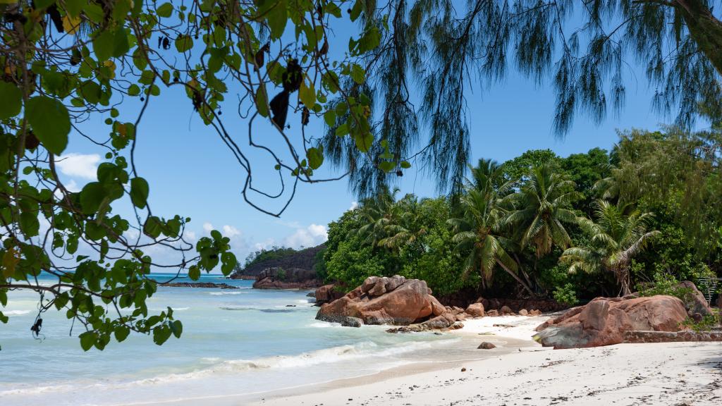 Foto 8: Vinc.Villa - Praslin (Seychellen)