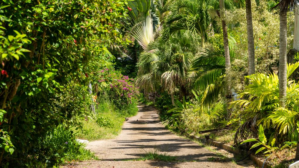 Photo 13: Hilltop Villa Bougainville - Mahé (Seychelles)