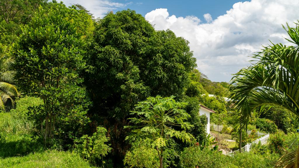 Photo 16: Hilltop Villa Bougainville - Mahé (Seychelles)