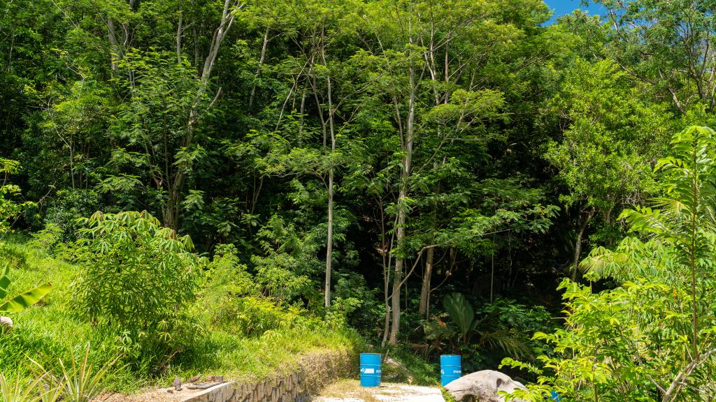 Photo 17: Hilltop Villa Bougainville - Mahé (Seychelles)